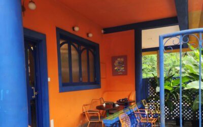 Discovering Chaatery: New Haven for Authentic Chaats in Goa